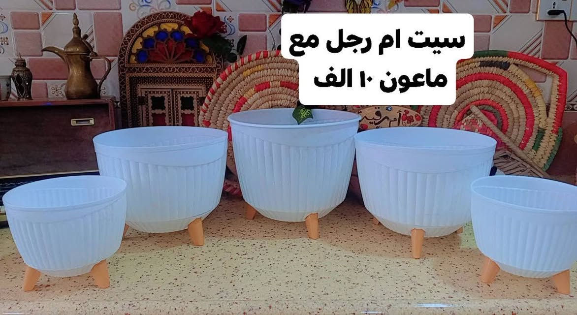 ❤️لكثرة الطلبات 🌹
🪴يتوفر لدينا جميع اكسسوارات نباتات وسنادين بلاستك نوعيه ممتازه 🦊🪴 🐼 
🚕توصيل كل محافظات العراق 🚕 
🪴الزرع لعرض فقط 🪴 
يتوفر جمله ومفرد 🐼 🦊 
حجز على خاص ☎️
📞***********📞

🐼تتوفر لدينا جميع اكسسوارات نباتات 🐼
🪴و سنادين مختلف الأشكال والأحجام والألوان 🕊️🐝🐞🐦🕊️🦋🐦🐞🌿🍄🕊️🐞🦋🐦🍄🌿
متوفر دعسوقات 🐞 🐞🐞🐞
ونحلات لاصقه 🐝🐝🐝🐝🐝
وفراشات 🦋🦋🦋🦋🦋🦋
فطر زينه 🍄🍄🍄🍄🪴💕
1-🐼باندا الفين القطعه 
 2- فطر جيس الف🍄
3-راكون ٢ با 5 الف 
4-🐞وسط ٢٠ وسط جيس الف 🐞
5-🐞دعسوقة خشن ١٠ قطع با الف 🐞
6-🐞دعسوقة ملون ١٠ قطع الف🐞
7-👍كف ١٠ قطع الف 👍
8-🐦عصفور ٥٠٠ القطعه 🐦
9-🪴غصن مترين رفيع  الواحد الف 🪴
10-🎊نشر ضوئيه مترين الف 🎉🎊
11-🌹🐝نحله صفراء ٤٠ قطعه با الف🌹🐝
12-🌹🍄ضفدع الف القطعه 🐝🐝
13-🌹🦋🦋🌹فراشه عاديه لصق وجهين و مغناطيس ١٠ قطع با الف🦋
14-❤️جيس ١٠ قطع  ماسك لبلاب كف 
١٠ قطع الف👍
16-🕊️حمام وسط الف🕊️
17-🕊️ 🐝🕊️
18-🪴ماسك لبلاب الف 🌿
🦋
19- فراشات سيم صغيره  ٤ سم 4 با الف🦋
🦋٧ سم ٣ با الف🦋
🦋٨ سم و ٩ سم  ٢ با الف🦋
20-فطر ملون با الف🍄
21-دعسوقة ام عوده ملون جيس 10 قطع الف
 🍄
🪴الزرع لعرض فقط🪴 
#توصيل كل #محافظات_العراق
#بغداد #ناصريه #نباتات #ديوانيه #زرعاتي #سنادين_ورد #ديكورات #نباتات_منزلية_داخلية #نواعم #بابل #البصره #ديالي #واسط #المثني #ديكورات_خشب
#سناد #سناد_زرع #نباتاتي

