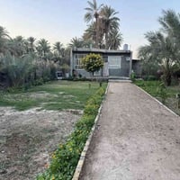 حله ابوغرق • طابو زراعي • ١٠٠٠م