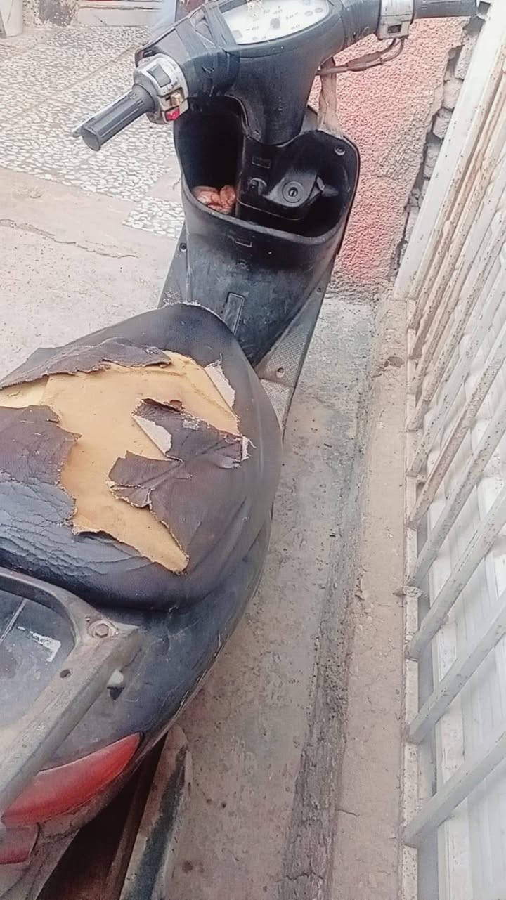 السلام عليكم دراجه عصفوريه للبيع تشتغل سعره 175
***********
