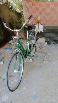 بايسكل عقرب • ياباني • استفسار خاص