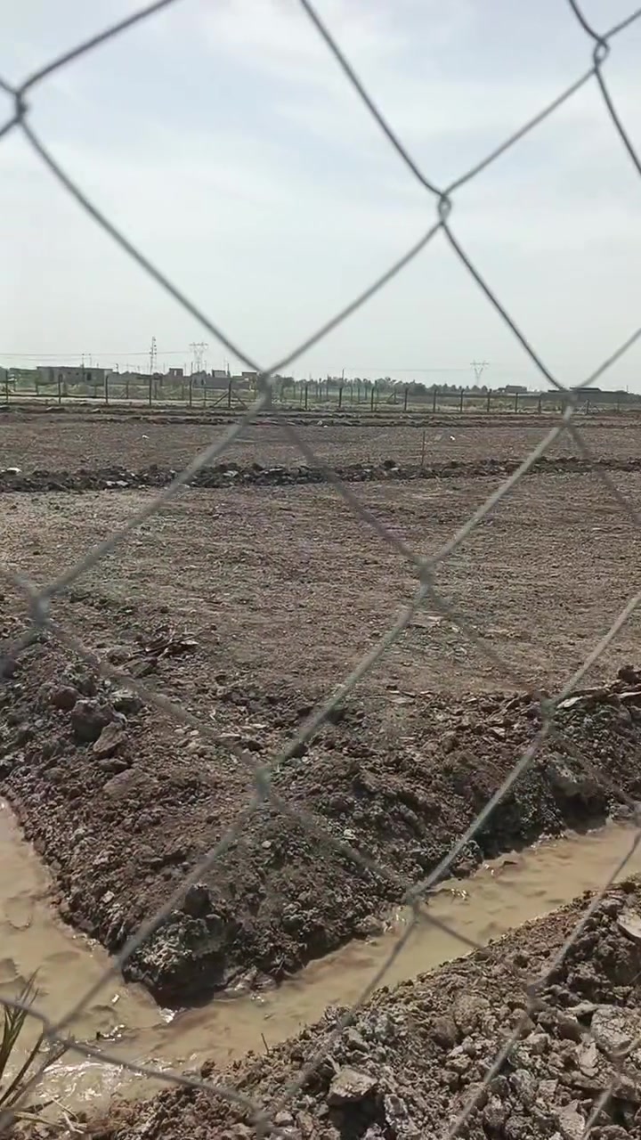✅للبيع أرض زراعية 
✅المساحة دونمين 5000م 
✅الواجهة تقريباً 50م 
✅مسيجه بسياج PRC
✅الأرض صالح للزراعه 
✅خدمات متوفرة ماء أساله وكهرباء
✅شارع بعرض 15م 
✅مزروعه حالياً  النخيل والبعض الآخر من الفواكه
✅الموقع نهاية مجمع السنية السكني منطقة الصويلات 
✅تبعد 75م عن التبليط

🔴للاستفسار مراجعة مكتب الضامن للعقار الشارع التجاري مقابل منفذ المعرفه أو الاتصال 📞 
*********** واتساب
***********
