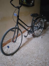 باسكل • الدوانية • عفك