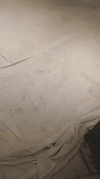 صباغ في بغداد# ***********#
ابو علي افضل انواع الصبغ بأفضل الأسعار #
شغل ملكي #استوكو#تعتيق#فلفت#قطيفه#
ورق حائط #بديل خشب #بديل رخام #
دهان ابواب#دهانات ساده #
