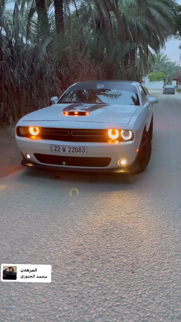 جالنجر 2023 جاهزه ع اخر حبه
كشنات دوشمه جلد اصلي 
دركه كلها كاربون 
محرك 5.7 (8)
الغرفه كلها مطعمه بكاربون 
عليها برمجه وسيفتي حمايه 
داون بايب جديد بدون لحيم 
برمجه طلقات 
شوته رياضي 
ماشيه ٢٥ الف ميل 
وياله وتخم تايرات جدد 
فجوج بريكات 
وهواي اضافات 
مواصفات 
شفتات ستيرن شاشه وسط 
السياره تستقبل بانزين عادي 
دبلات اربع صفر بلاديه 
كاعيات حضن 
السياره بريحه الوكاله 
مرقمه بشهر الواحد هزه وفحص جدد 
تحويل ثاني يوم 
حادث السياره 
جاملغ وبنيد فقط لا رصعه ولا شخط بدي السياره 
شاصي الامن فقط سحب بدون لحيم وكص كلش بسيط 
مكاني بابل شارع السياحي 🏎️🏎️🏎️
السعرررر ١٦٨ اذا اكو هيج سعر من لزاخو للفاو بهيج حادث انطيها بلاش 
***********
