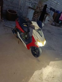 هندر 100 • كله شغاله • عوزه عرموط