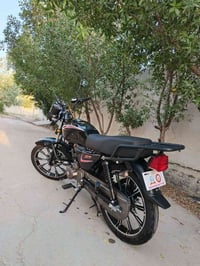 شاينك • زيرو • كفالة