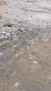 ياالله ***********
