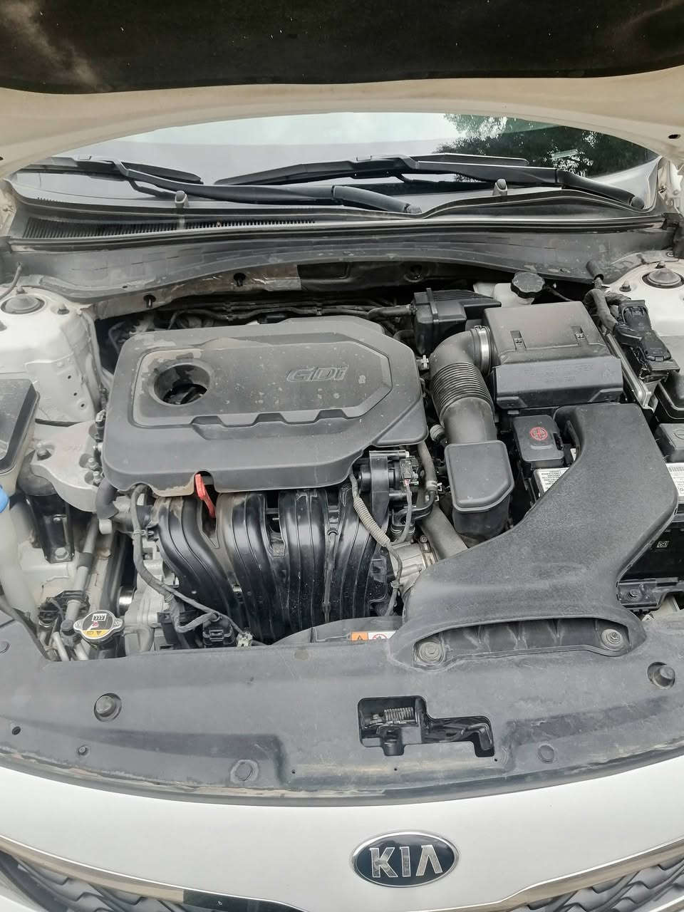 السلام عليكم
ابتيما ٢٠١٩..امريكي
محرك ٢٤٠٠ جي دي اي.. غير مفتوح.. 
رقم اربيل دولي. سنويه بأسمي تريد تحويل تريد وكاله. 
سياره ليبل واحد اي تبديل قطعه مابيه بيه صبغ فقط
موضح بلسونار.. موجود بلمنشور
وصور الحادث موجوده
مكاني نجف كوفه
***********هذا رقمي
السعر... ١٥٢ بيه مجال
..
