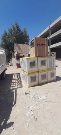 نجف حي عدن • بيع وشراء اثاث • توصيل داخل النجف