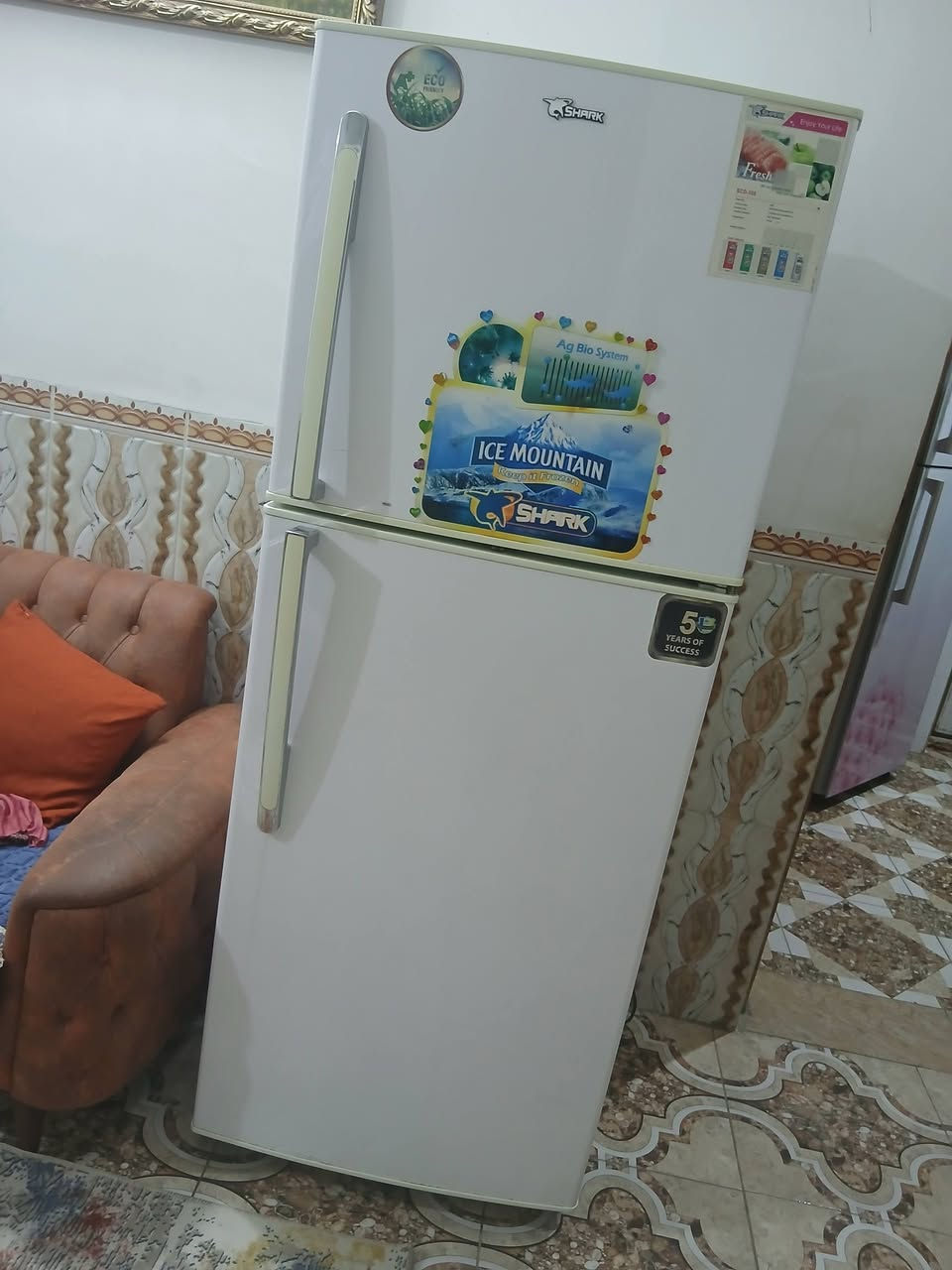 ثلاجة 26قدم بلادية تجميد تبريد خير من الله مكاني ابو غريب الحصوة


**إذا كنت صاحب هذا الإعلان وتريد حذفه لأي سبب، رجاءا أرسل رسالة إلى الدعم الفني**