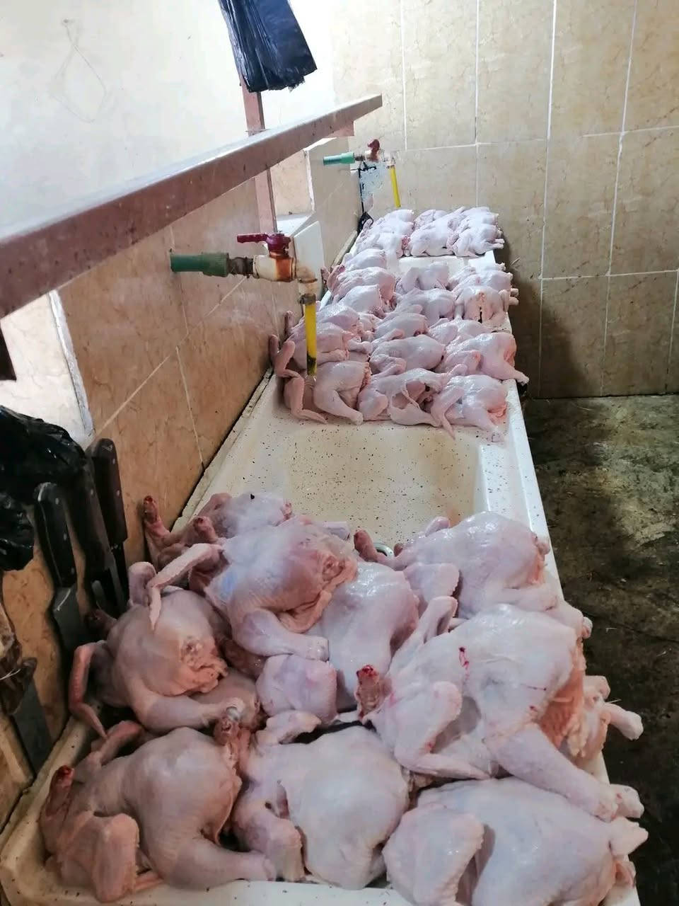 بسم الله الرحمن الرحيم
اسلام عليكم ورحمة الله وبركاته

تم وصول وجبة جديدة من الدجاج الحي

المحلي وليس الشمالي

بجميع الاوزان.    من٢٠٠٠كيلو  الىى٣٥٠٠كيلو غرام👌

سعر الكيلو ب ٣٥٠٠ 👉👉👉👉
سمط و تنضيف درجة اولى والحمد لله👍

المكان قرب سيطرة الكبان👉👉👉

مكتب ايمن لبيع الدجاج👌

ومستعدون لتجهيز كافة المناسبات 👍

الهاتف.... ***********
               ***********
بأدارة ايمن 👉🌹🎉👌.        

لايوجد فرع ثاني لا داخل ولا خارج
 المنطقة
سوى مكتب ايمن لبيع الدجاج👉👉👉

اهلاََ و سهلاََ بالجميع ❤️🌹😊بسم الله الرحمن الرحيم
اسلام عليكم ورحمة الله وبركاته

تم وصول وجبة جديدة من الدجاج الحي

المحلي وليس الشمالي

بجميع الاوزان.    من٢٠٠٠كيلو  الىى٣٥٠٠كيلو غرام👌

سعر الكيلو ب ٣٥٠٠ 👉👉👉👉
سمط و تنضيف درجة اولى والحمد لله👍

المكان قرب سيطرة الكبان👉👉👉

مكتب ايمن لبيع الدجاج👌

ومستعدون لتجهيز كافة المناسبات 👍

الهاتف.... ***********
               ***********
بأدارة ايمن 👉🌹🎉👌.        

لايوجد فرع ثاني لا داخل ولا خارج
 المنطقة
سوى مكتب ايمن لبيع الدجاج👉👉👉

اهلاََ و سهلاََ بالجميع ❤️🌹😊
