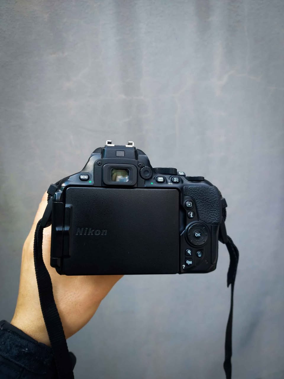 کامێرای نیکۆن D5600 
کامێرایەکی مواسەفات بەرز و دیقەی وێنە و ڤیدیۆی زۆر جوانە، وای فای و بلوتوسە ئەتوانی دوای وێنەگرتنەکە ڕاستەوخۆ بۆ موبایلەکەتی بنێری.
شاشەکەی لەمسە،
کامێرایەکی خاوێن و بێ مشکیلەیە.
کامێراکە لێنز و شەحن و پاتری و جانتای لەگەڵە. أربيل, العراق


**إذا كنت صاحب هذا الإعلان وتريد حذفه لأي سبب، رجاءا أرسل رسالة إلى الدعم الفني**