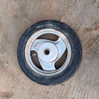 ويل بطه • منغولي • خلفي وامامي