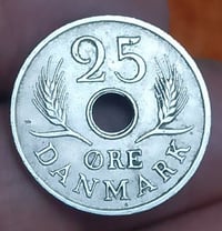 كلب دنماركي • حجم كبير