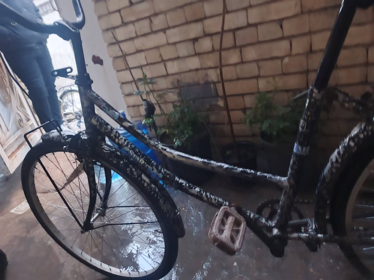 سلام عليكم باسكل البيع بكربلاء فول نضافه اي عطل مابي تفحصه وتاخذه مكاني، كربلاء حي العباس رقمي بي وتساب *********** قفله 50شراي يراسلني
