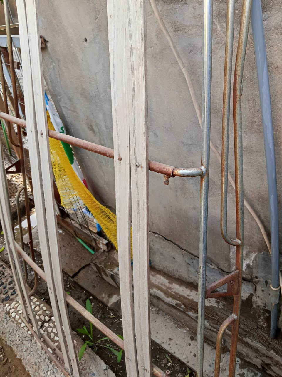 سوبايه للبيع سعر 100


**إذا كنت صاحب هذا الإعلان وتريد حذفه لأي سبب، رجاءا أرسل رسالة إلى الدعم الفني**