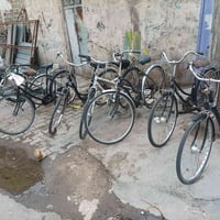 باسكلات حاوية • جملة • مفرق