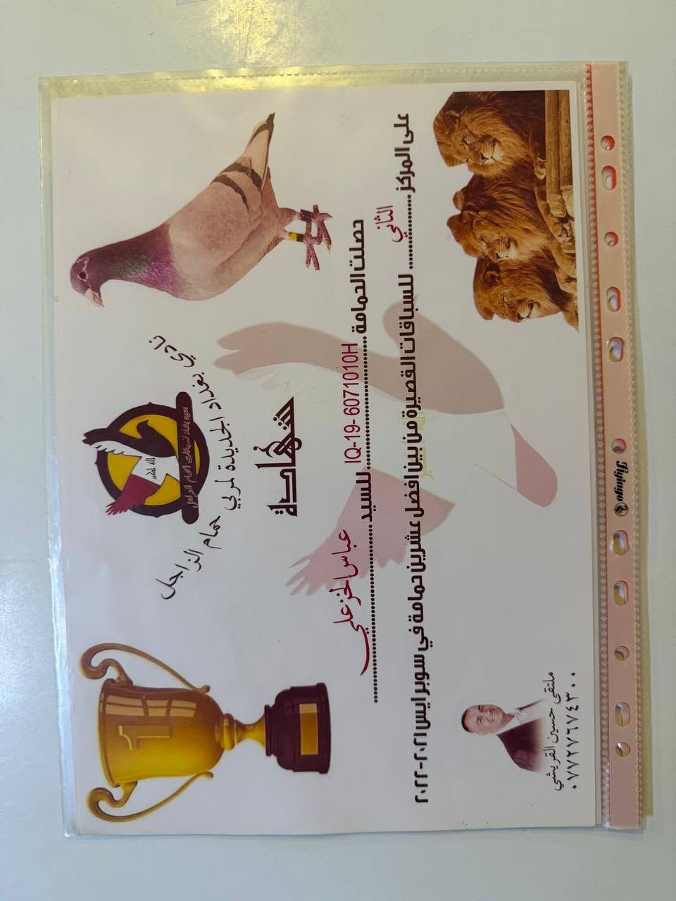 السلام عليكم

متاح زوج فرخات بنات مباااشرااات دبل ( سوووبر آيس )

للاستفسار /  ***********

ومن الله التوفيق
