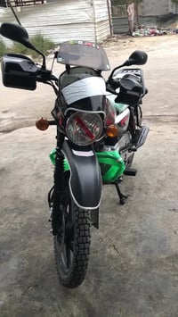 بوكسر • جبلي • ٢٠٢٣