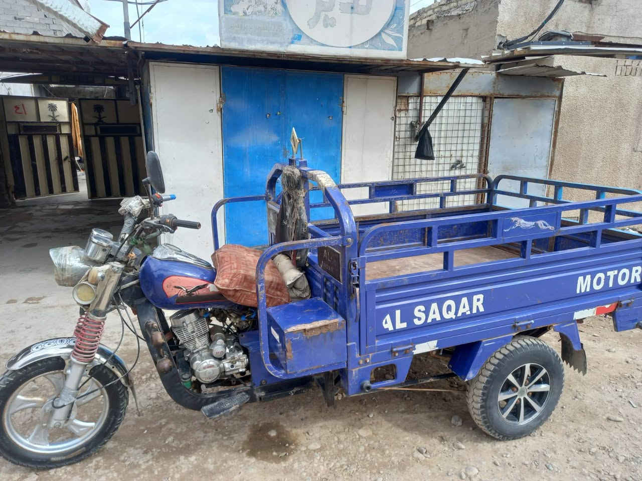 ستوتة لبيع صقر فحل مكاني مدينة الصدر كيارة سعر خاص ***********
