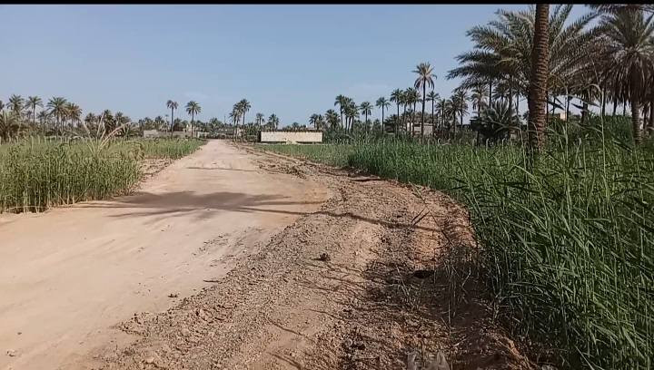 يالله( اللهم صل على محمد وال محمد )
ارض مساحة دونم ( 2500 ) متر طابو زراعي سند 25 تحويل مباشر بأسم المشتري .. مزروعة نخيل وتربة الارض حلوة صالحة للزراعة ومتوفر ماء سقي خاص للارض..

عرض واجهة الدونم 40 متر والباقي النزال ويبعد عن شارع العام مسافة 700 متر بسيارة دقيقتين وشوارع تبليط وله      اكثر من مدخل .. علمآ عرض شارع الخاص للدونم يبلغ عرضة 11 متر
يصلح للسكن ويصلح مكان ترفيهي وايضآ يصلح مخازن للحفظ

المنطقة سكنية وخدمات متوفرة ( المدارس ابتدائية ومتوسطة واعدادية وروضات اطفال + اسواقات ومحلات مخضر + كهرباء وطني وخطوط مولد ذهبي وعادي + وماء اسالة 24 ساعة + ماء سقي )       السعر الارض ( 120 ) وقابل للمجال

العنوان / شارع طوريج كربلاء سايد الدخول الى كربلاء مقابيل المعهد الفني التقني قرب مدارس رميلة ( *********** )

