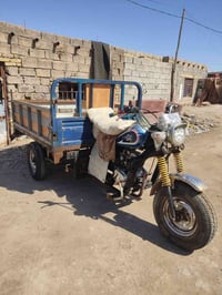 ستوته • موديل 2019 • أوراق أصلية