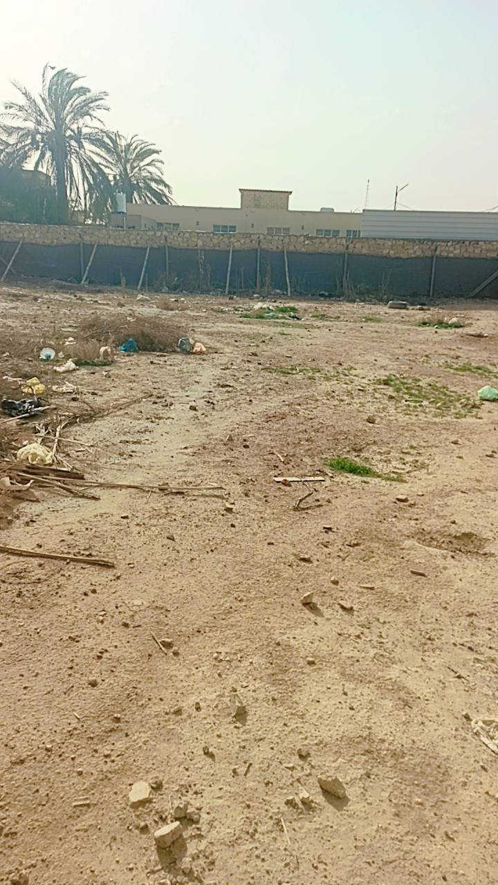 "قطعة أرض للبيع في علوة الفحل، خلف الفلل، الساحة الف 17 متر، طابو زراعي سند 25. المكان مميز. للاستفسار والتفاصيل: مكتب حسين النجفي *********** (واتساب)".
