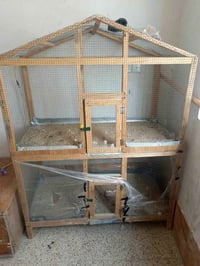 قفص خانتين • خشب جديد • بابل نادر الاولى