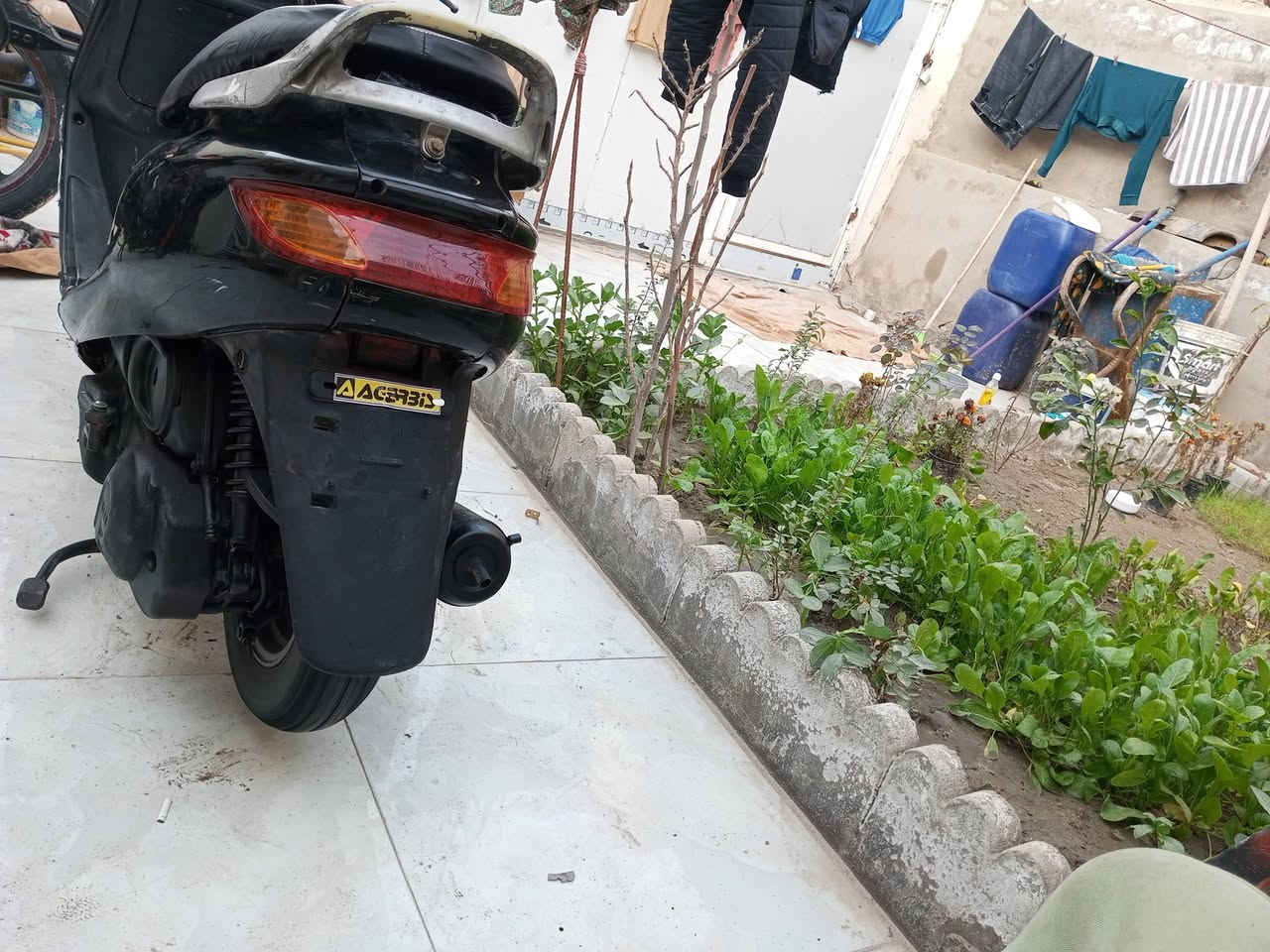 سلام عليكم شباب دراجه فراشه نضيفه جدا محركها ستوني جبته من الحاويه صارله سبوع شلعتها خير من الله الشراي يخابرني بي خير ودلل ***********
