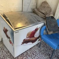 مجمدات محل • شغالة • بابل حله مركز