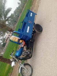 ستوتة • موديل 17 • بابل حمزة الغربي