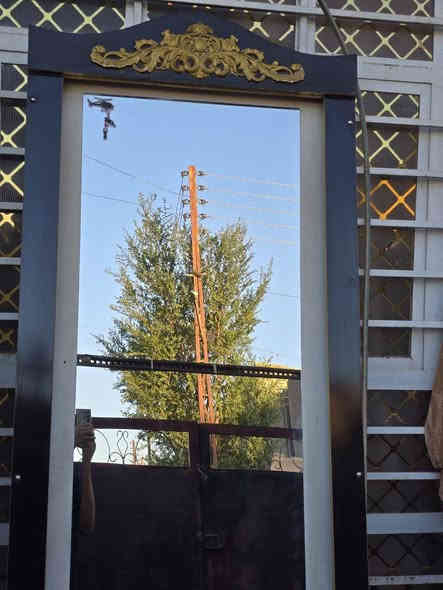 السلام عليكم مـري للبيع السعر (100)
*********** /*********** واتساب متواجد
