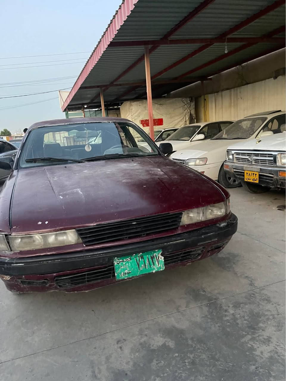 گلاند 1993 سعر 14 ورقە مجال
رقم سنوی اسل ب شەرت اولیات
بی دەعم و لیدان و خایس نیە
گیر مکینە هەموو ب شەرت
تەخم تایە بنی زۆر خاوین 
شوین روڤیا/*********** اكر, نينوى
