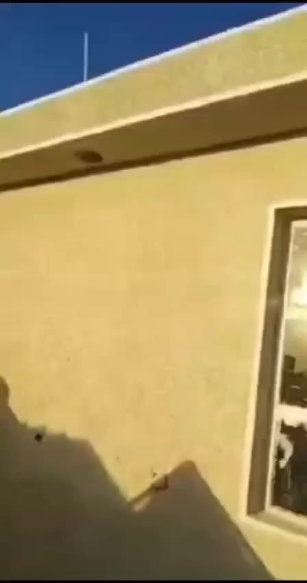 يا الله الله مصلي إلى محمد وال محمد هاذه شغلي نشاء الله ينال اعجابكم اخوكم ابو ايه  الباخ لبخ وطلس بضافه ال كوبلن أو لبخ سقل ناعم و لبخ ونثر أو تكنيد مصاطر أو تشمع داخل وخارج اي شغل داخل بغداد إني حاضر وبل خدمه شرط شغل درجة اولى واسعار مناسبه وحالين متفرغ لتزم بل عمل ***********
