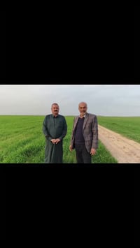 حنطة ديمية • خرابة سلطان • نتائج الأسمدة