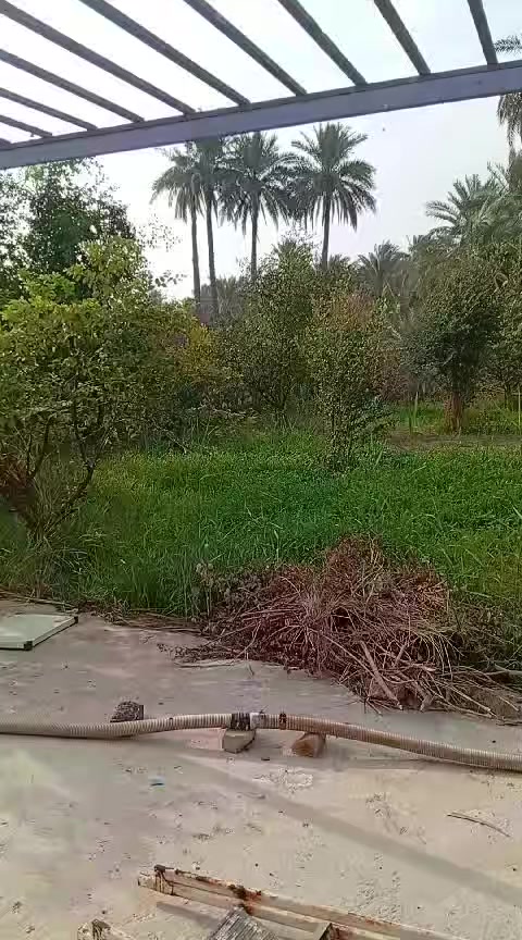 اومراوس


**إذا كنت صاحب هذا الإعلان وتريد حذفه لأي سبب، رجاءا أرسل رسالة إلى الدعم الفني**