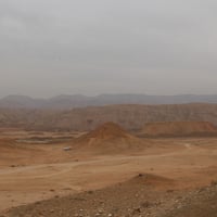 ابحث عن عمل