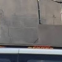 سلة لبيع 07814994359.    السعر 130