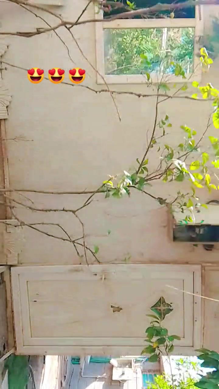كرفان مستعمل نضيف مئسس داخل وخارج واجهه 6 نزال 3 لمكان بغداد جسر ديالى قرب فلكه سلمان باك سعر مليون وربع وبي مجال ***********
