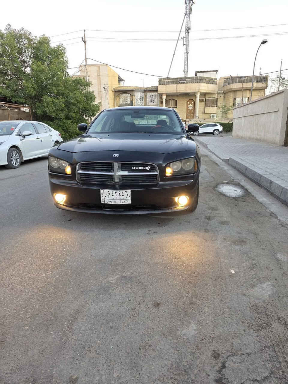 جارجر 2010 .... كنديه كفاله عامه فقط بسها جرات كارت بسيطه ..... بالدواير الخلفيه .... مكينه توني شادها ٣٥٠٠ بعدها بالضمان .... دواخلها تخبل وراعيها يريد تحويل حداده نص عمر بجم زنون ... سونارها مرفوق بالمنشورر 
السعر 100 ... مجالها شي قليل 
مكاني بصره ....ترهم مراوس حسب القناعه ...
***********
بي وتساب خاص ممتوفر البصرة, العراق
