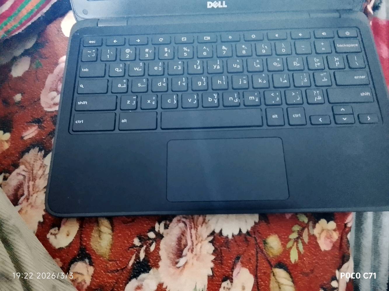 بغداد حي النصر 
حسابه شاغله كامل موصفات للبيع شاحنه وحسبه ما مسدتخدمه هواي اقل من شهر ورخيصه والحسابه شغل تيكتوك ويوتيوب وكامل موصفات الشراي يجي تلي  @J_2_0_1_1