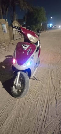 ماكس منغولي • بابل • حالة زينة