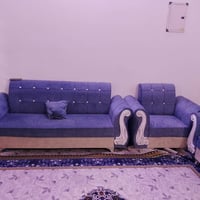 تخم • صوفا • الدورة