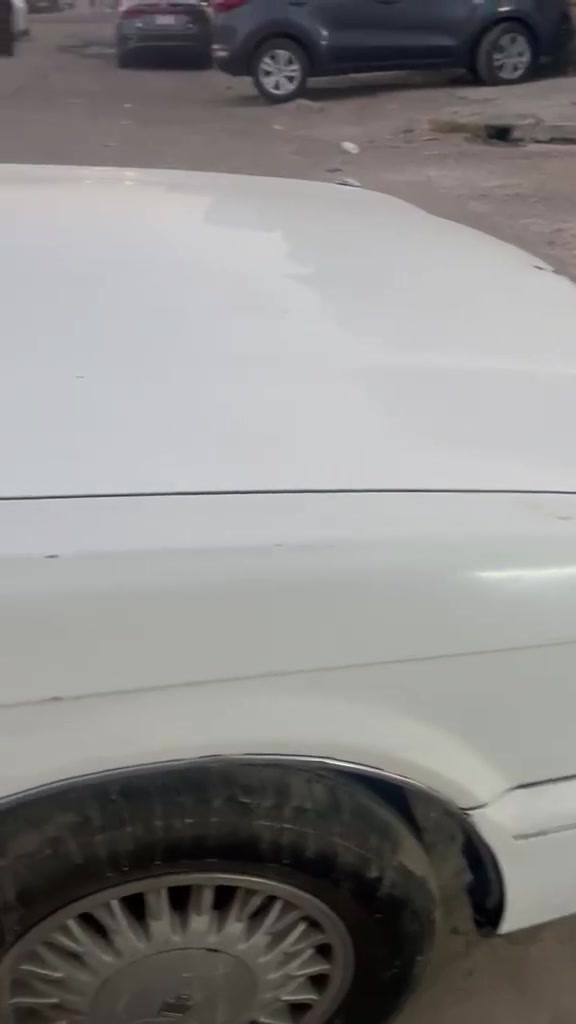 بسم  الله فره بدون صبغ للبيع الاتصال 
***********
