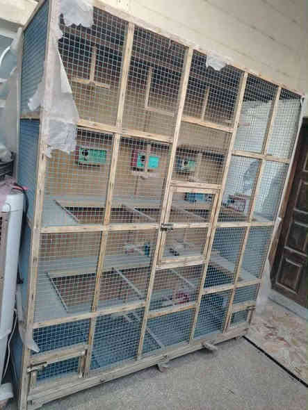 *********** متاح
