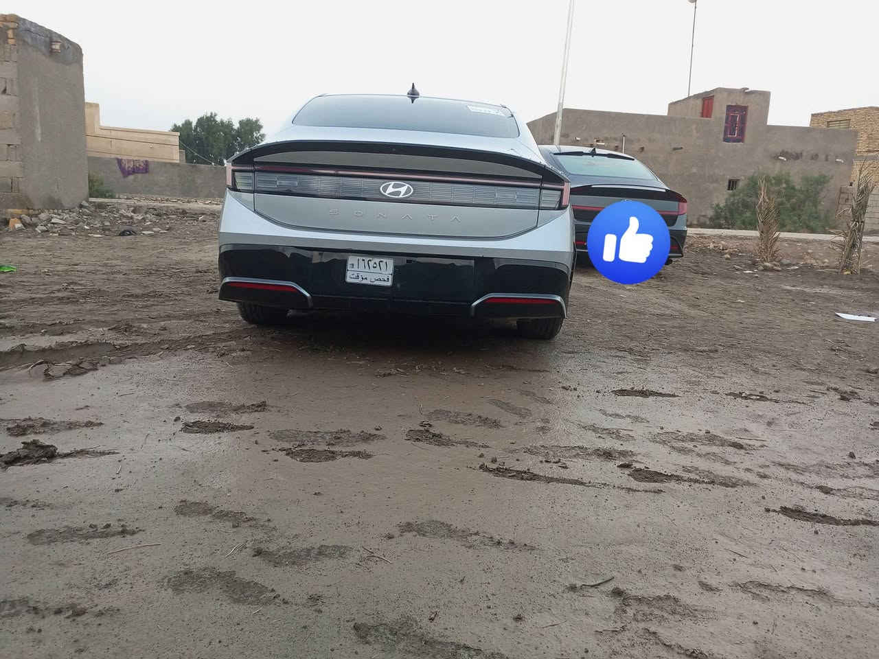 سلام عليكم
سوناته للبيع موديل 24 
 
مرقم شهداء مثنى 

وكاله عامه بسم المشتري 

الضرر مقدمه البنيد فقط 

بصمه تشغيل وبصمه ابواب 

شاشه كار بلي/// كير تعليك 

كشن كهربائي/// وبعد بيه مواصفات 

***********
