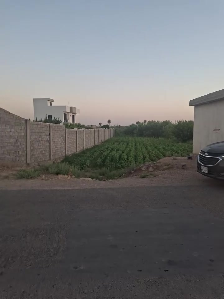 #أرض_شاطية  🌳 
#اليونس_للعقار
***********
***********
