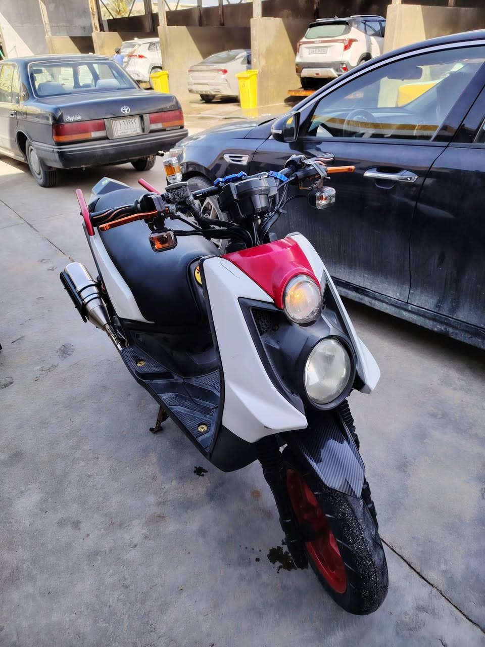 سكنس جبلي ياباني مكفولة رمبا مزودة بصرة ***********
