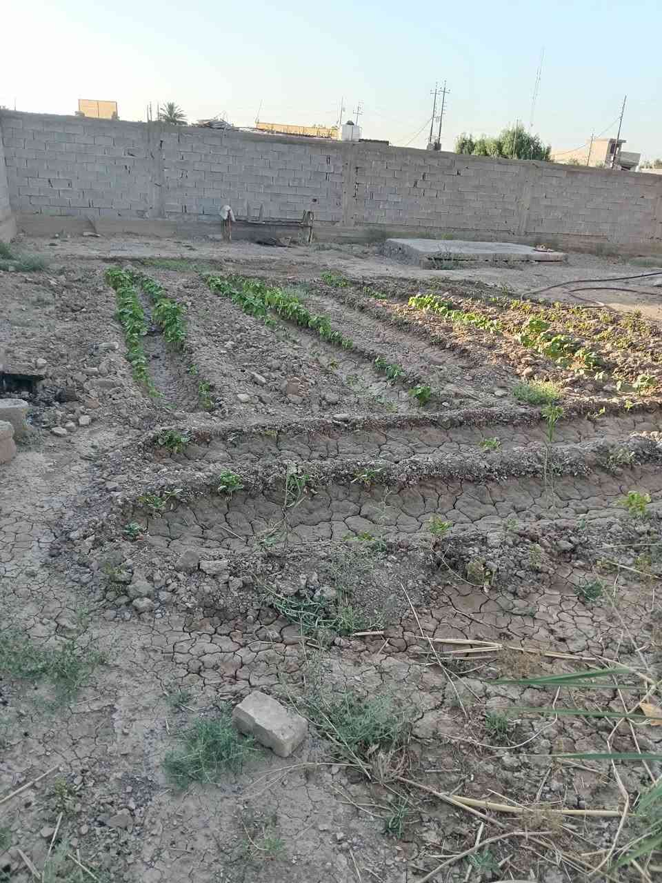 السلام عليكم   قطعة ارض للبيع 700 متر عليه دار طابقين  متكون 2 نوم استقبل ومطبخ وحولي وصحيات في الطابق الاول وفي الطابق الثاني متكون من 2 نوم ومنور وصحيات علمن دار مجاز 300 متر وتنزل حصه في سند25 الدوره هوررجب قرب شارع حي السلام وهذا الرقم ***********
