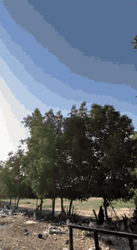 (رقم وسنويه) بسمي مديل 2019 خير من الله كلشي ماعايزه رقمي 07831520434 ...